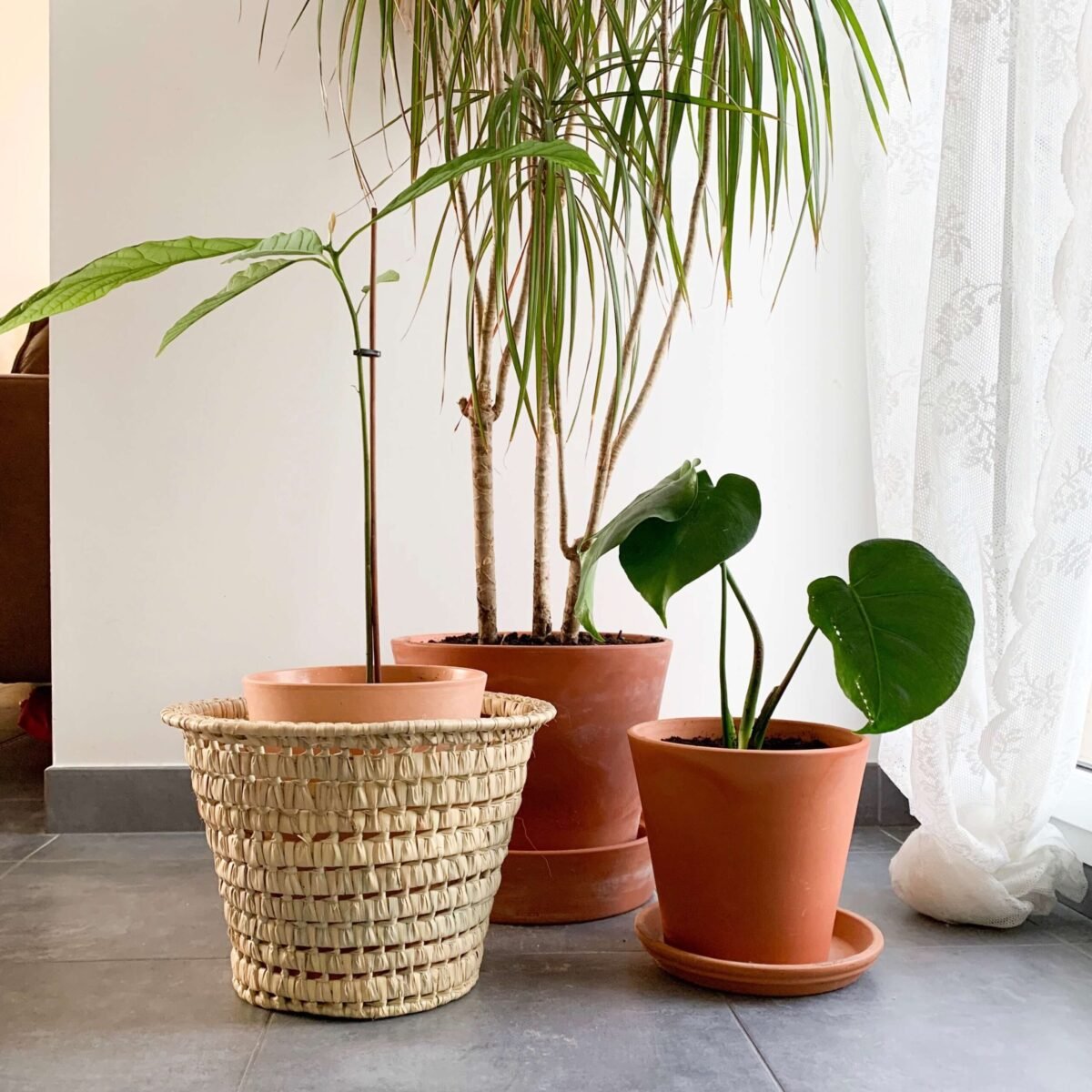 Cache-Pot Rond en Feuilles de Palmier | Artisanat Marocain | 23 cm