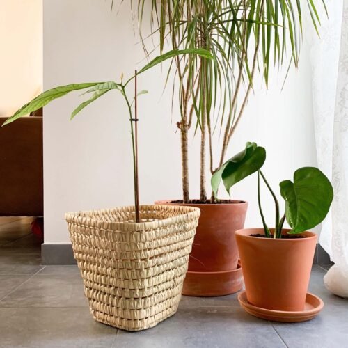 Cache-Pot Carré en Osier Artisanal | Déco Marocaine | 25 cm
