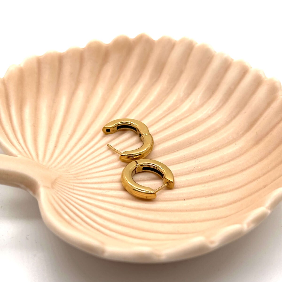 Boucles d'oreilles Cercle Doré